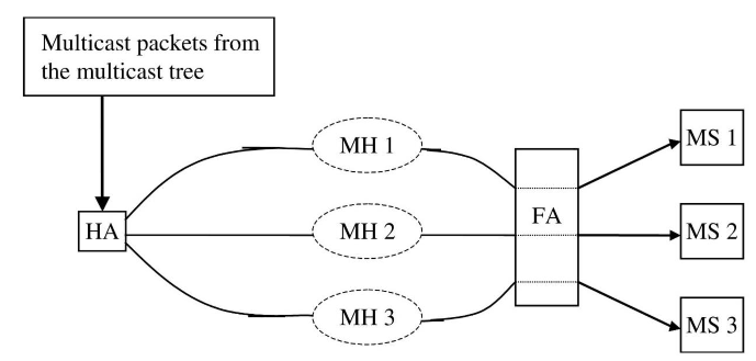 Bidirectional-Tunneling